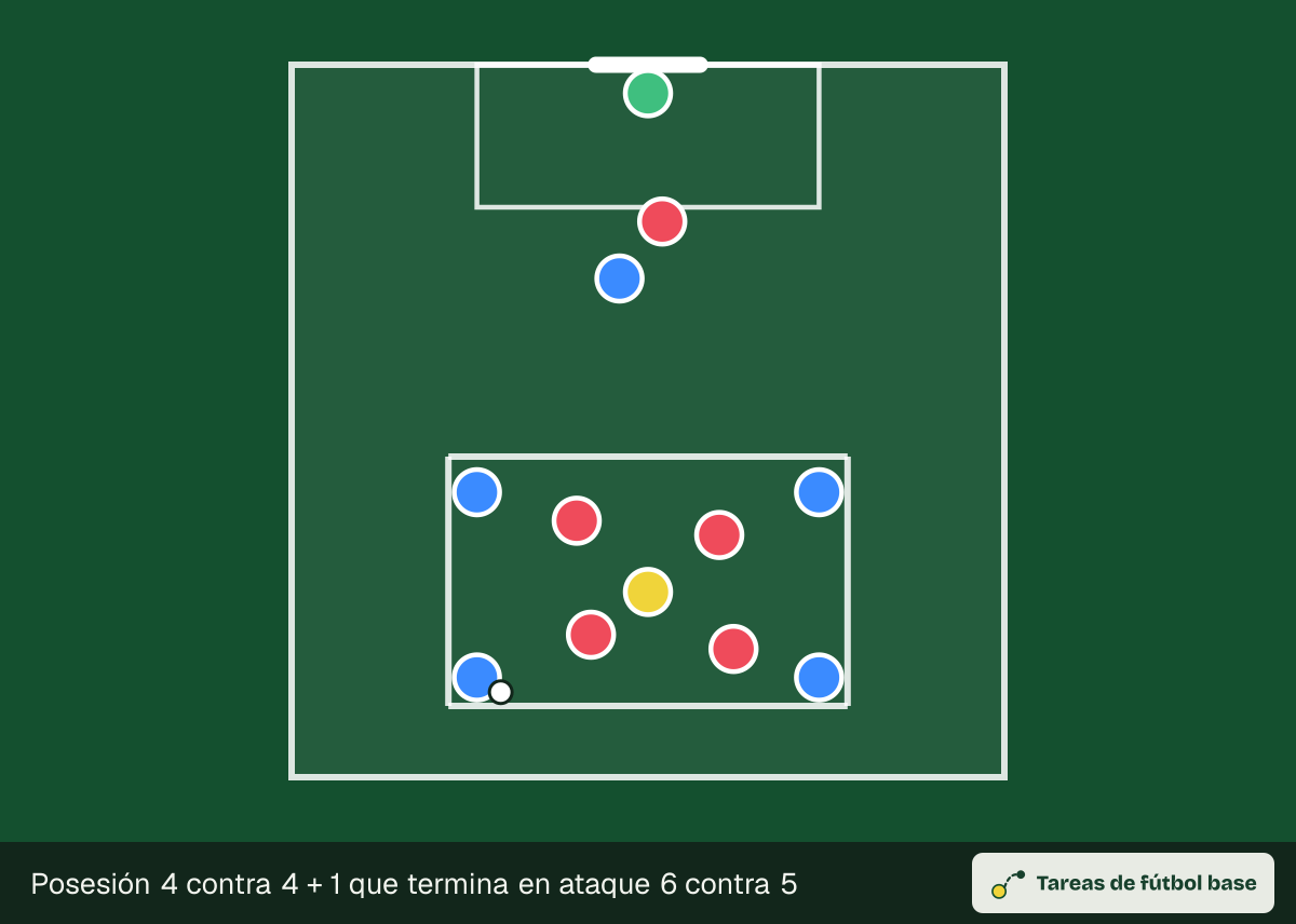 Dibujo del ejercicio «Posesión 4 contra 4 + 1 que termina en ataque 6 contra 5» (posesiones): colocación inicial, para 13–14 jugadores en un espacio de 50 × 50 m