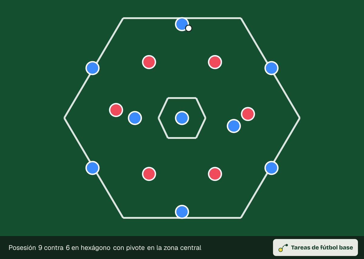 Dibujo del ejercicio «Posesión 9 contra 6 en hexágono con pivote en la zona central» (posesiones): colocación inicial, para 15 jugadores en un espacio de 40 × 34 m
